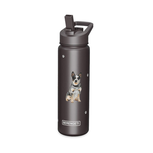 E&S Imports Australian Cattle Dog Pointer Stainless Steel Water Bottle 24 Oz. With Spill Proof